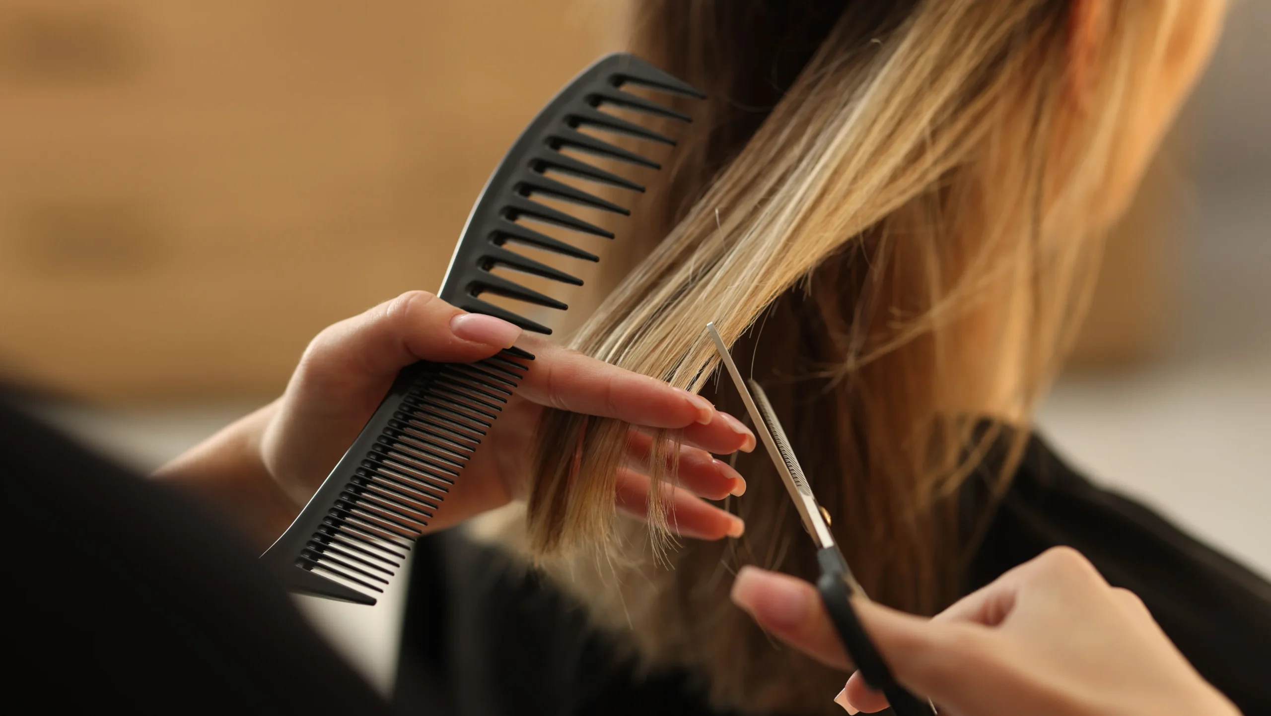 Hair Cut & Style